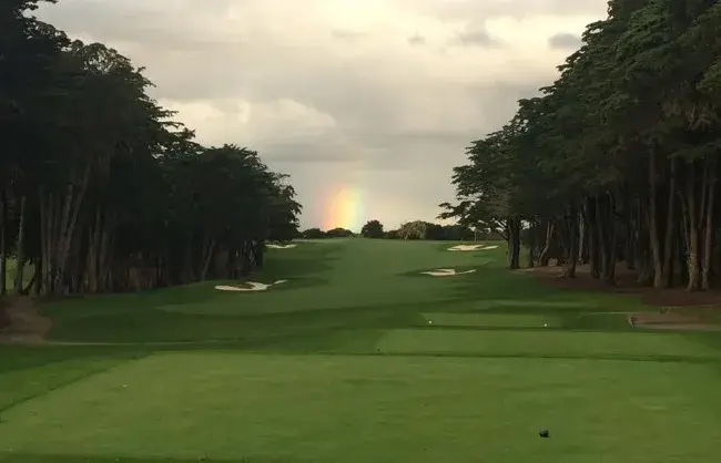 The green complexes at Bayonet demand precision — undulating and fast.