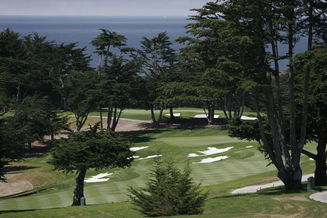 Black Horse's fescue-framed fairways give it a links character that Bayonet, its sister course, doesn't have.