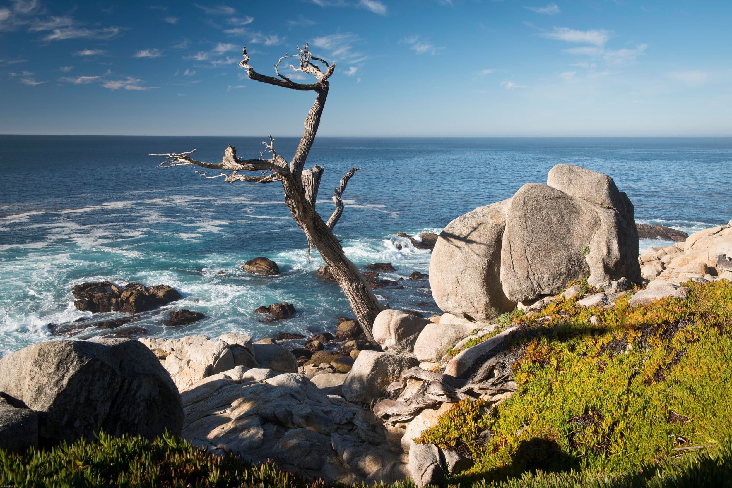 Ghost Tree stop on 17-Mile Drive®, Pebble Beach, CA