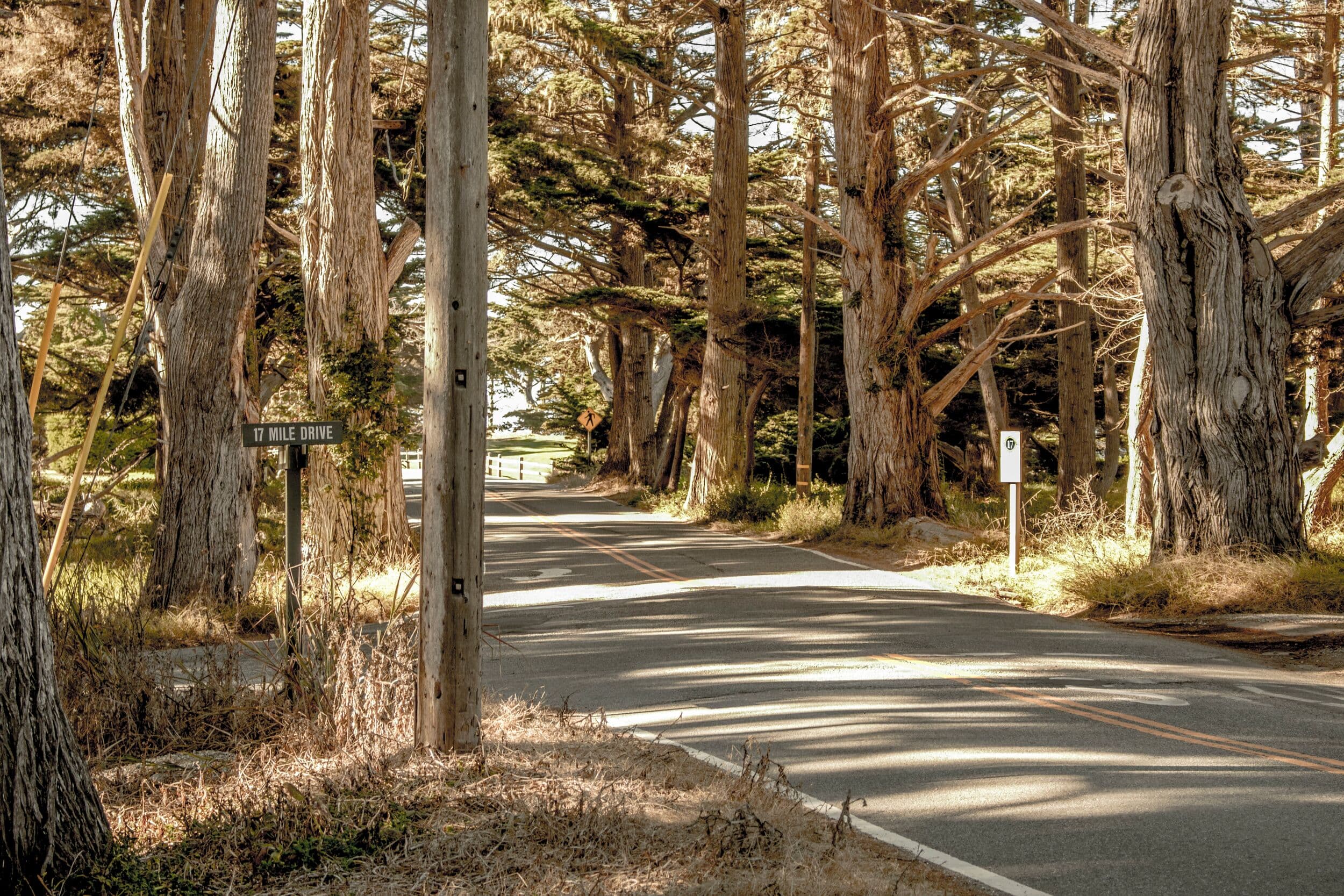 Ford Meadow on 17-Mile Drive®, Pebble Beach, CA