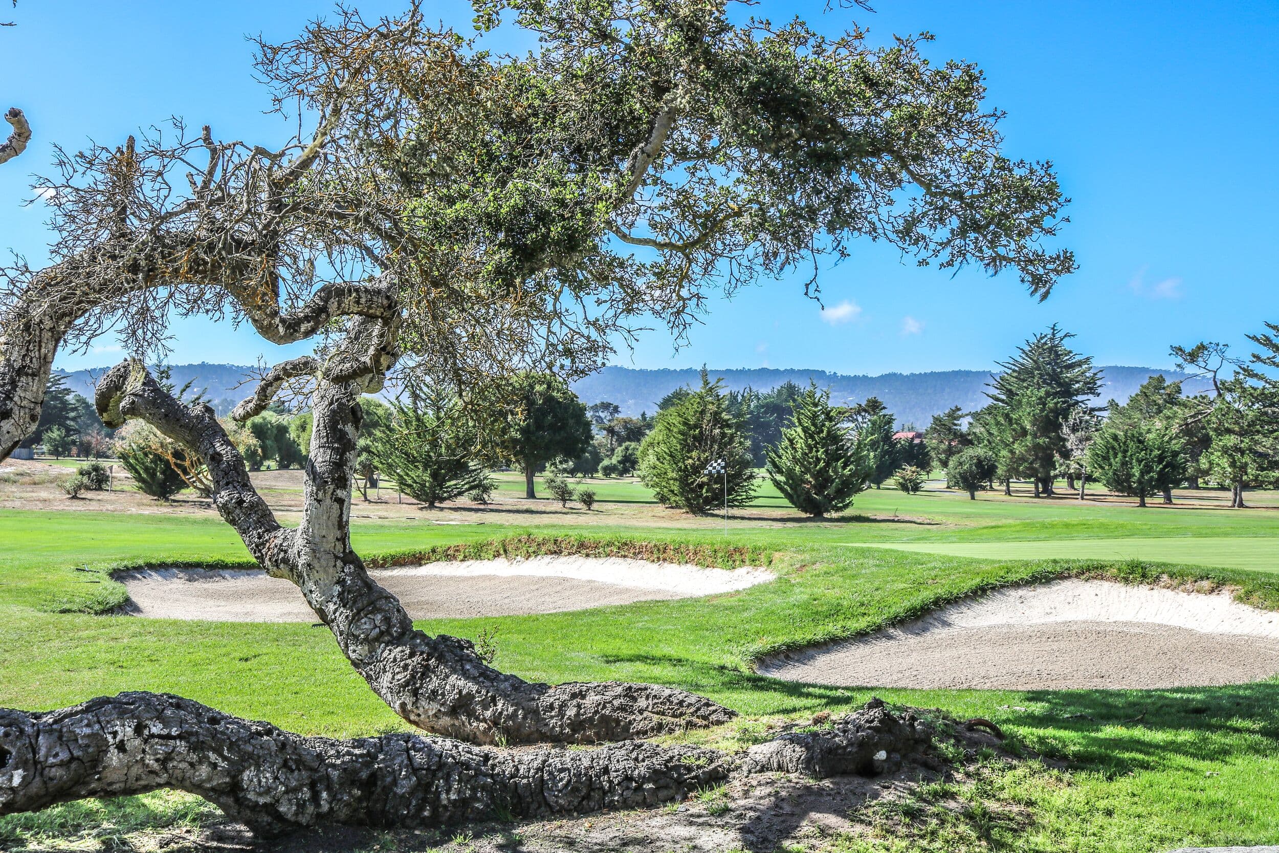 Del Monte™ Golf Course — Monterey Peninsula golf